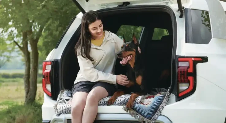 KGM (Ssangyong) Torres Bagaj